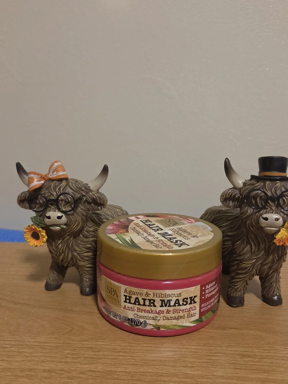 Agave & Hibiscus Hair Mask - Strengthening Hair Mask in Gold